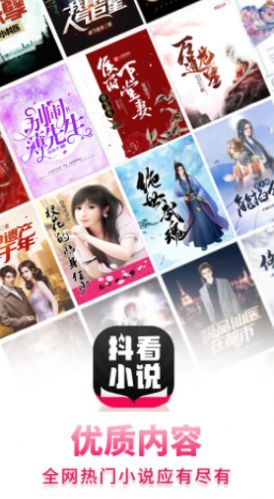 抖看小说2024