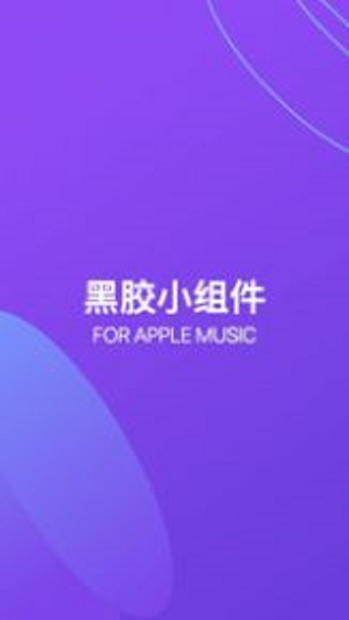 谜底黑胶最新版