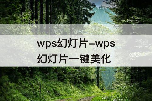 wps幻灯片-wps幻灯片一键美化