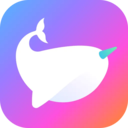 海豚直播免费版下载安装苹果版