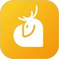 小鹿情感app下载安装官网最新版本苹果11.12