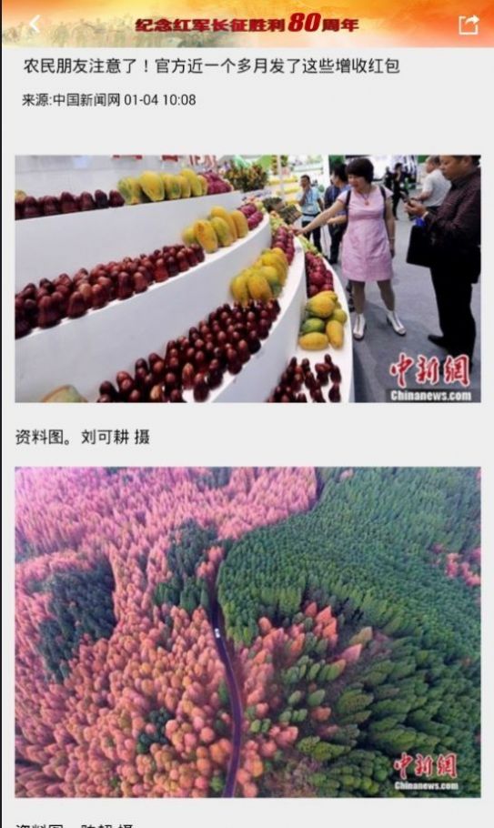 东北新闻网官网下载手机版最新