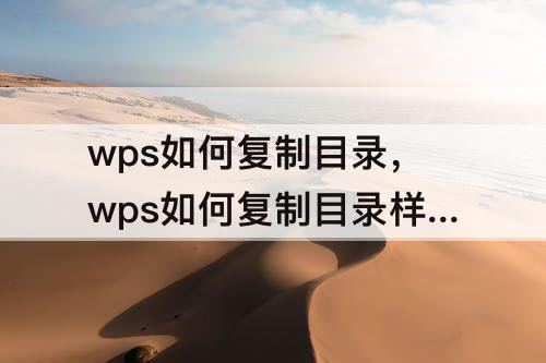 wps如何复制目录，wps如何复制目录样式