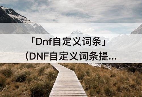 「Dnf自定义词条」(DNF自定义词条提升)