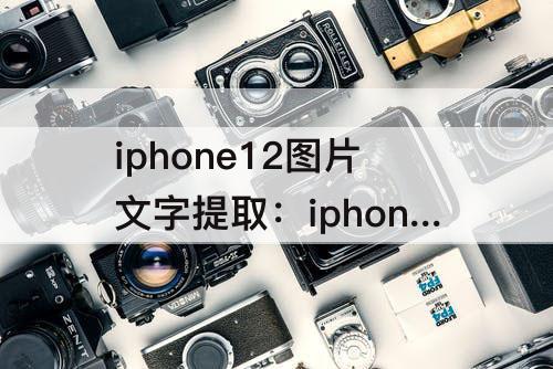 iphone12图片文字提取：iphone12图片文字提取功能