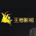 王者影视官方下载安装手机版苹果