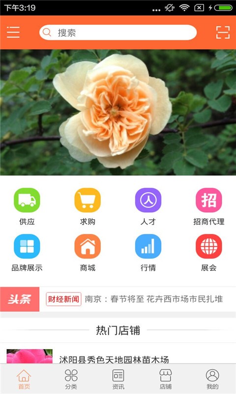 花卉种子2024