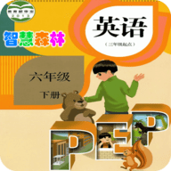 PEP小学英语六年级下