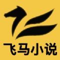 飞马小说网安卓版免费阅读