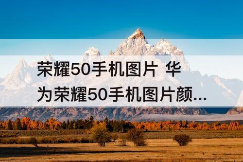 荣耀50手机图片 华为荣耀50手机图片颜色