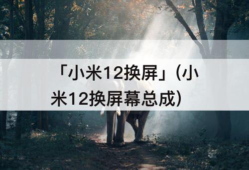 「小米12换屏」(小米12换屏幕总成)