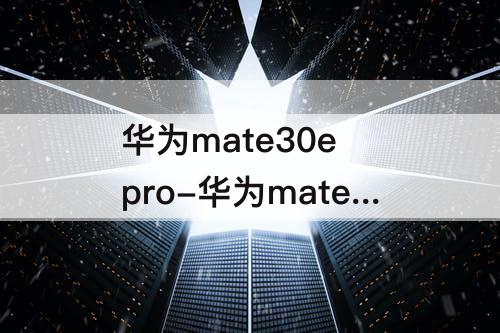 华为mate30e pro-华为mate30e pro参数图片