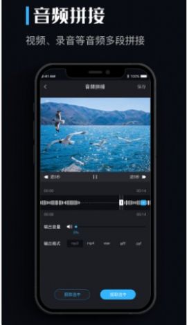 闪电音乐转换器下载安装手机版