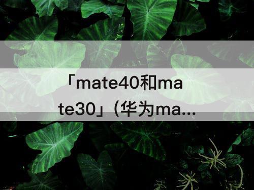 「mate40和mate30」(华为mate40和mate30pro参数)
