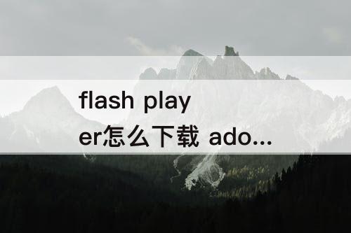 flash player怎么下载 adobe flash player怎么下载更新