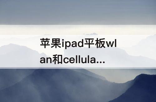 苹果ipad平板wlan和cellular版