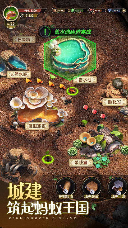 小小蚁国37手游版