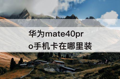 华为mate40pro手机卡在哪里装