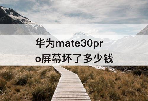 华为mate30pro屏幕坏了多少钱