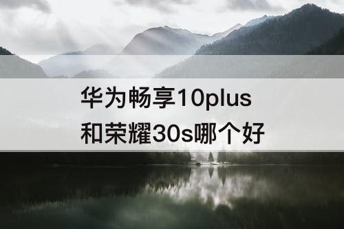 华为畅享10plus和荣耀30s哪个好