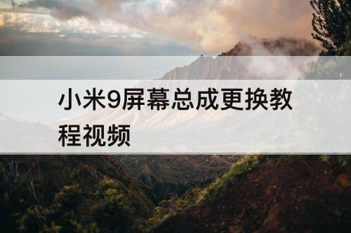 小米9屏幕总成更换教程视频