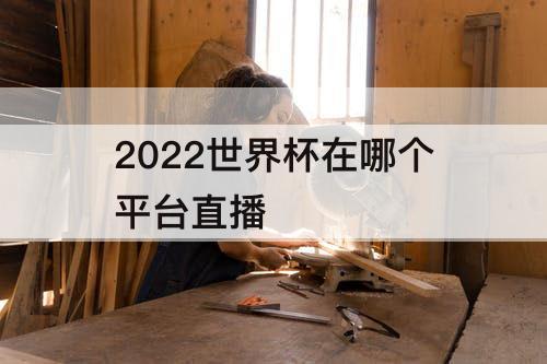 2022世界杯在哪个平台直播