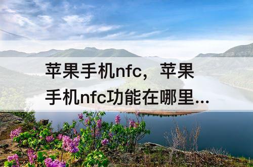 苹果手机nfc，苹果手机nfc功能在哪里找