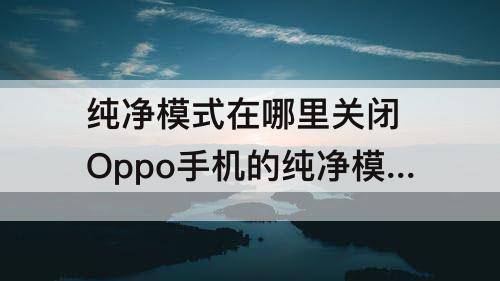 纯净模式在哪里关闭 Oppo手机的纯净模式在哪里关闭
