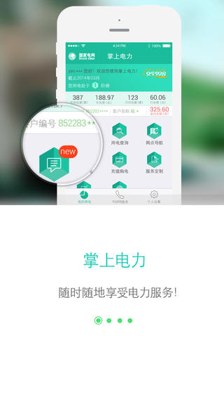 官方网上国网app下载