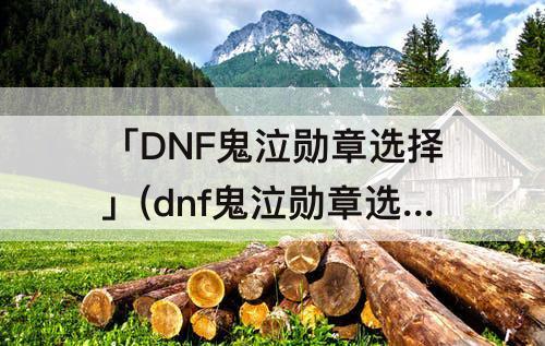 「DNF鬼泣勋章选择」(dnf鬼泣勋章选择哪个)