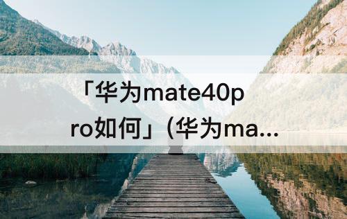 「华为mate40pro如何」(华为mate40pro如何分屏操作)