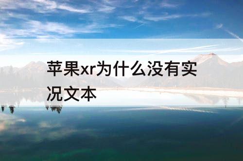 苹果xr为什么没有实况文本