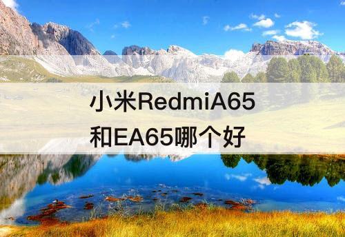 小米RedmiA65和EA65哪个好