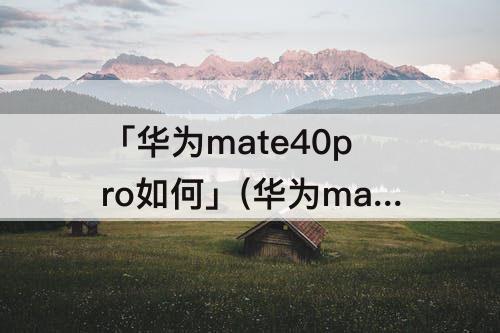 「华为mate40pro如何」(华为mate40pro如何更新鸿蒙)