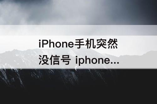 iPhone手机突然没信号 iphone手机突然没信号无服务怎么回事