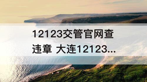 12123交管官网查违章 大连12123交管官网查违章