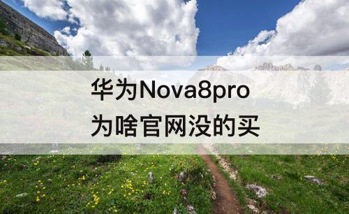 华为Nova8pro为啥官网没的买