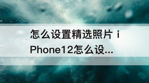 怎么设置精选照片 iPhone12怎么设置精选照片