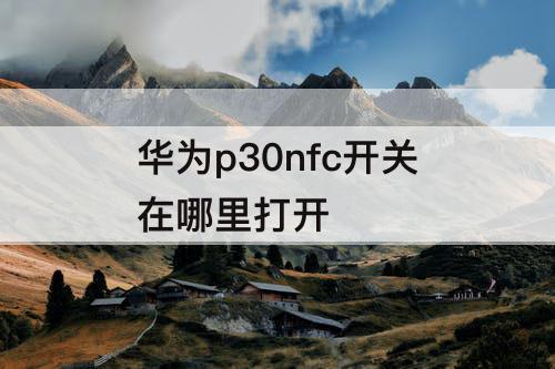 华为p30nfc开关在哪里打开