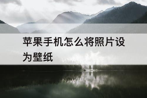 苹果手机怎么将照片设为壁纸