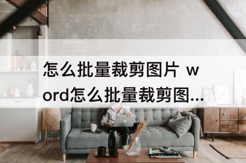 怎么批量裁剪图片 word怎么批量裁剪图片多余的部分