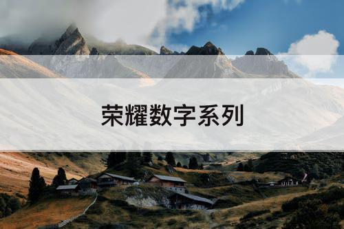 荣耀数字系列