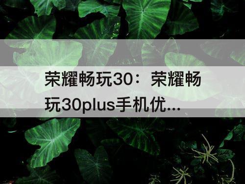 荣耀畅玩30：荣耀畅玩30plus手机优缺点