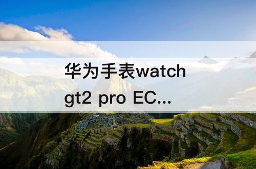 华为手表watch gt2 pro ECG：华为手表Watch GT2 Pro ECG版