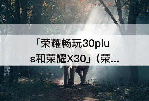 「荣耀畅玩30plus和荣耀X30」(荣耀畅玩30plus和荣耀x30i哪个好)