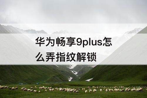 华为畅享9plus怎么弄指纹解锁