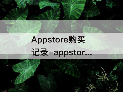 Appstore购买记录-appstore购买记录一直待处理