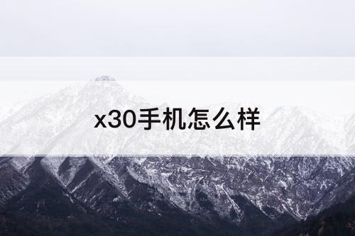 x30手机怎么样