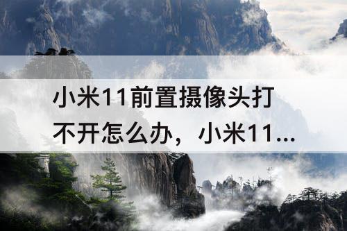 小米11前置摄像头打不开怎么办，小米11前置摄像头打不开怎么办而且换不回后置