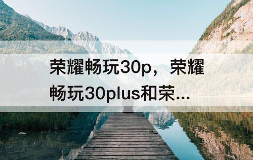 荣耀畅玩30p，荣耀畅玩30plus和荣耀x20哪个好